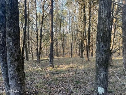 Lot 12 Springwood Trail  Madison County, MS