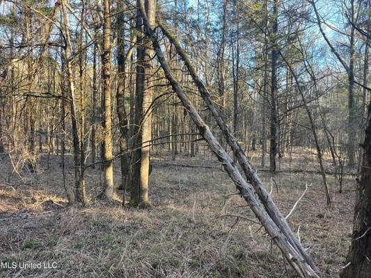 Lot 12 Springwood Trail  Madison County, MS