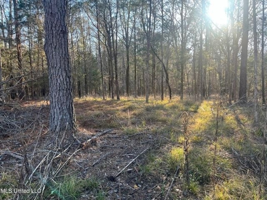 Lot 12 Springwood Trail  Madison County, MS