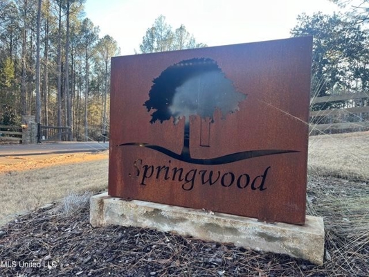 Lot 12 Springwood Trail  Madison County, MS