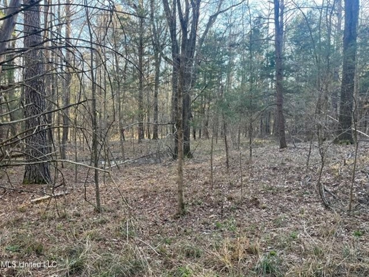 Lot 12 Springwood Trail  Madison County, MS
