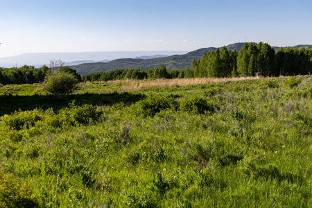 Buckhorn Lakes Investor Package Grazing Land & 35s - image 19