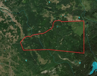 Buckhorn Lakes Investor Package Grazing Land & 35s - image 2