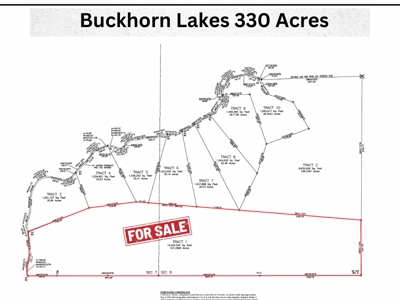 Buckhorn Lakes Mountain Hunting Ranch 330 Acres - image 2