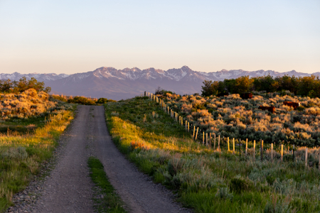 Buckhorn Lakes Mountain Hunting Ranch 330 Acres - image 29