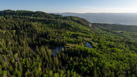 Buckhorn Lakes Mountain Hunting Ranch 330 Acres - image 22