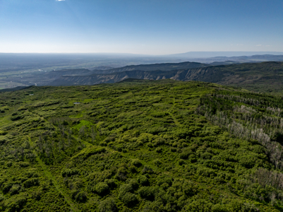 Buckhorn Lakes Mountain Hunting Ranch 330 Acres - image 18