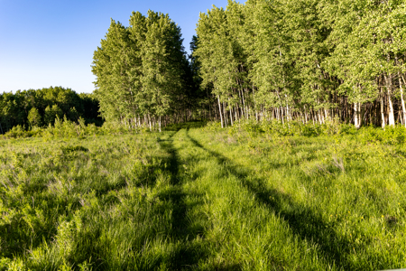Buckhorn Lakes Mountain Hunting Ranch 330 Acres - image 24