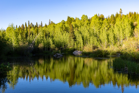 Buckhorn Lakes Mountain Hunting Ranch 330 Acres - image 27