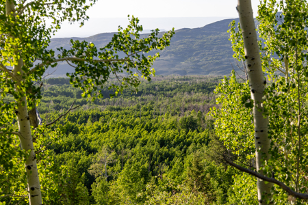 Buckhorn Lakes Mountain Hunting Ranch 330 Acres - image 25