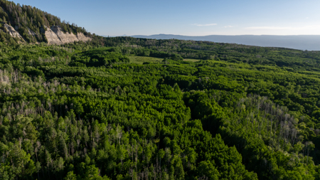 Buckhorn Lakes Mountain Hunting Ranch 330 Acres - image 21