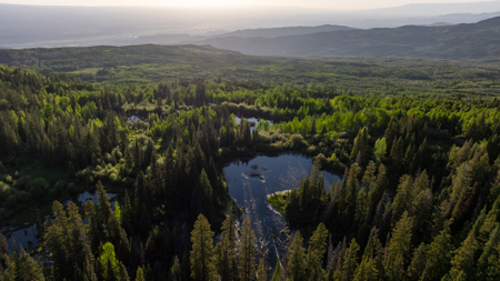 Buckhorn Lakes Mountain Hunting Ranch 330 Acres - image 7