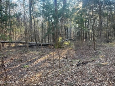 Listing 117