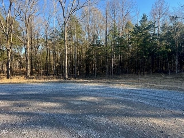 Listing 117