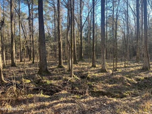 Lot 13 Springwood Trail  Madison County, MS