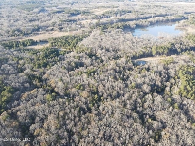 Lot 13 Springwood Trail  Madison County, MS - image 44