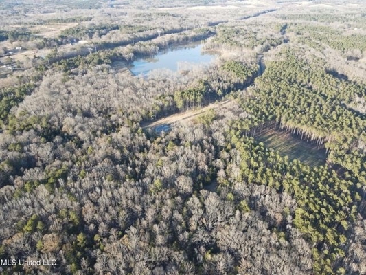Lot 13 Springwood Trail  Madison County, MS