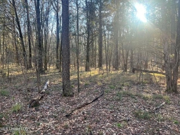 Listing 117