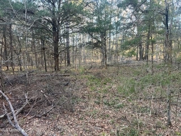 Listing 117