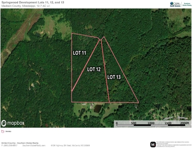 Lot 13 Springwood Trail  Madison County, MS - image 50