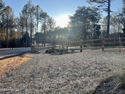 Lot 13 Springwood Trail  Madison County, MS - image 3