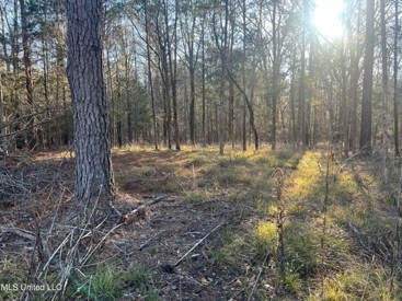 Listing 117