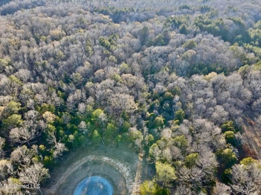 Lot 13 Springwood Trail  Madison County, MS
