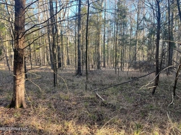 Listing 117