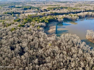 Lot 13 Springwood Trail  Madison County, MS - image 37