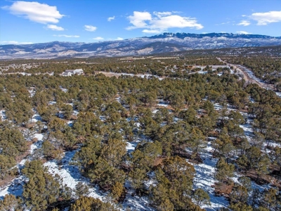 Mountain Land for Sale in Ouray County, Colorado - image 4