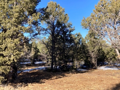 Mountain Land for Sale in Ouray County, Colorado - image 23