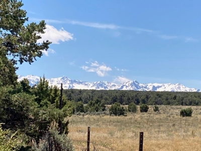 Mountain Land for Sale in Ouray County, Colorado - image 13