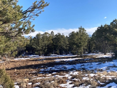 Mountain Land for Sale in Ouray County, Colorado - image 20