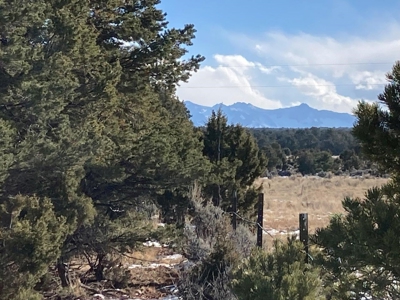 Mountain Land for Sale in Ouray County, Colorado - image 22