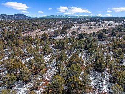 Mountain Land for Sale in Ouray County, Colorado - image 3
