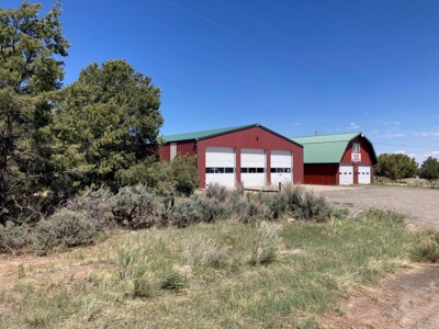 Mountain Land for Sale in Ouray County, Colorado - image 5