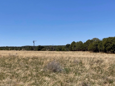 Mountain Land for Sale in Ouray County, Colorado - image 15