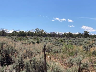 Mountain Land for Sale in Ouray County, Colorado - image 9