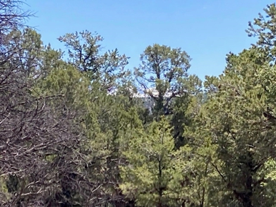 Mountain Land for Sale in Ouray County, Colorado - image 17