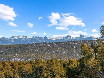 Mountain Land for Sale in Ouray County, Colorado - image 1