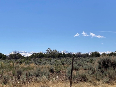 Mountain Land for Sale in Ouray County, Colorado - image 11