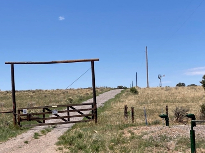 Mountain Land for Sale in Ouray County, Colorado - image 10