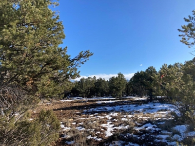Mountain Land for Sale in Ouray County, Colorado - image 19