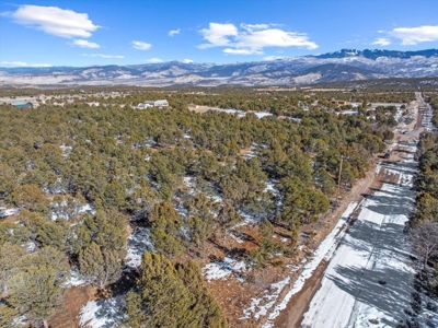 Mountain Land for Sale in Ouray County, Colorado - image 2