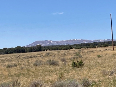 Mountain Land for Sale in Ouray County, Colorado - image 14