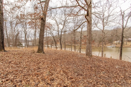 Lake Home For Sale in Hardy, AR - image 24