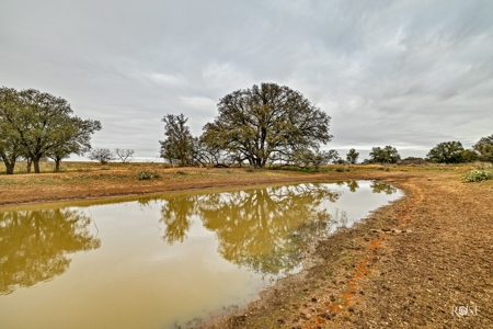 Premier High-Fenced Ranch in Coke County, Texas - image 1