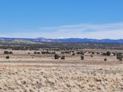 360 views on this Northern Arizona off grid property - image 3