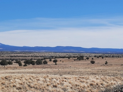 360 views on this Northern Arizona off grid property - image 4