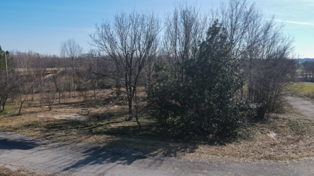 Building Lot for Sale in Newbern, Tennessee - image 7